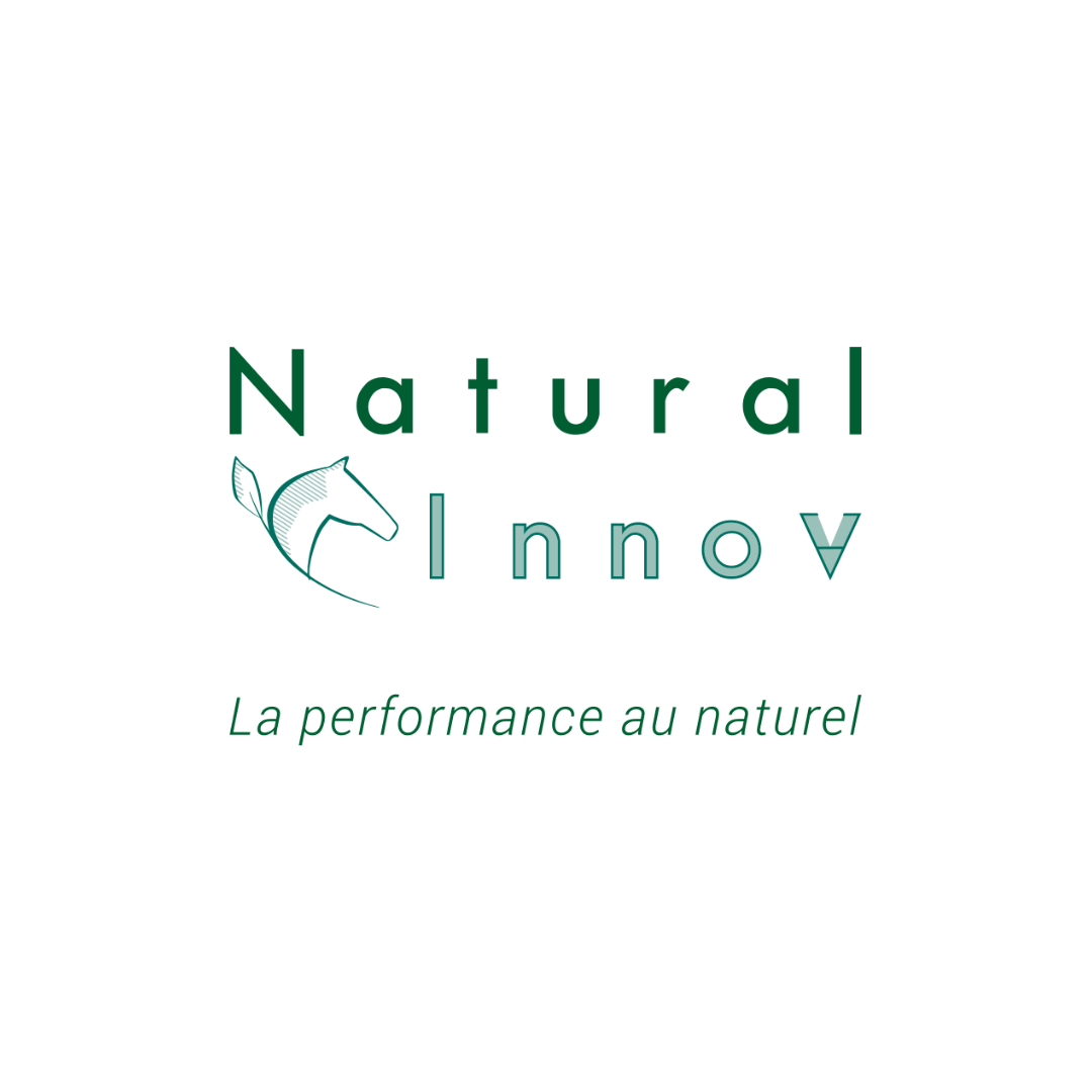 Logo natural'Innov