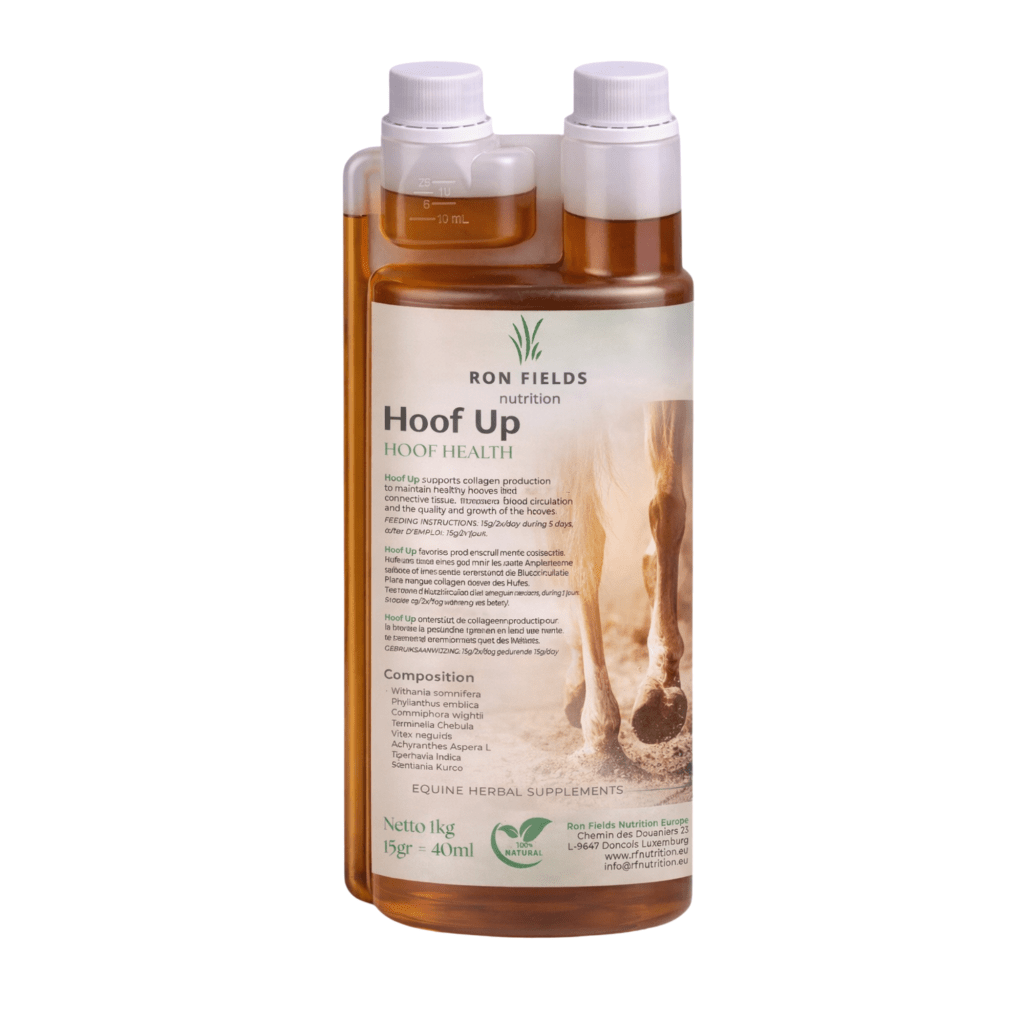 Hoof UP – Hoof Health