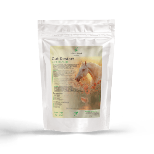 Gut Restart - Soutien digestif naturel