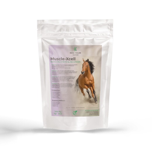 Muscle-Xcell - Soutien musculaire naturel