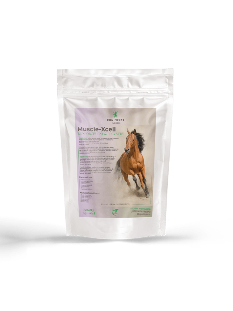 Muscle-Xcell - Soutien musculaire naturel