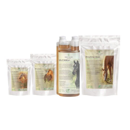 KIT Digestion Complet – Protocole Ulcères & Confort Digestif